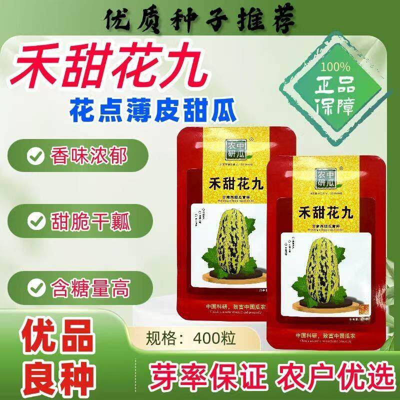 禾甜花九薄皮甜瓜品种果皮黄色深绿果肉甜脆干瓤抗病耐低温耐运输