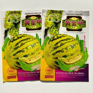 花皮黄金甲甜瓜种子冰糖子蜜香瓜种籽四季播种农家瓜果蔬菜八里香