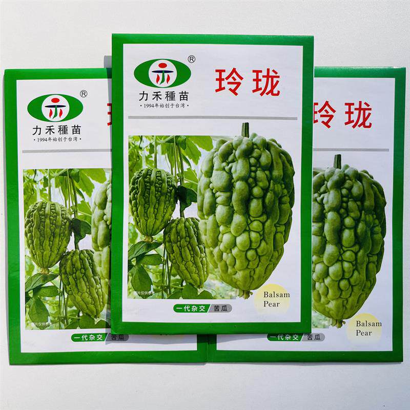 玲珑苦瓜种子珍珠苹果苦瓜种籽疙瘩瓜白凉瓜耐热四季种孑