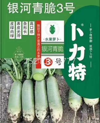 银河青脆2玉脆3水果萝卜脆甜卜光滑七星萝沙窝号GJG萝卜蔬菜籽种