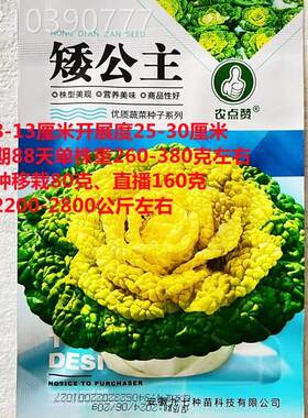 矮公主心乌黄菜种子好看好MEU吃产心耐寒黄商品性佳农家秋季高蔬