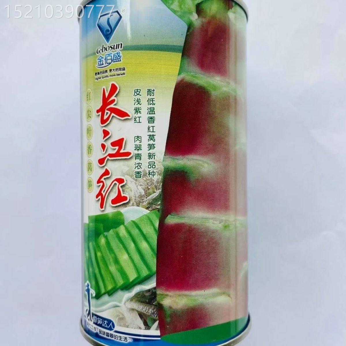 长江红莴笋种子红皮绿肉莴苣籽春秋冬季播抗病高产耐寒籽莴笋蔬菜