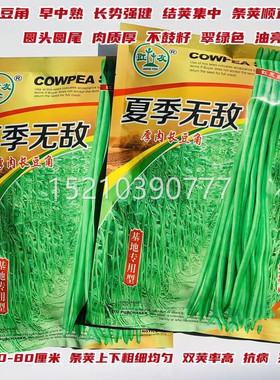 夏季无敌厚豇肉长豆FCY种高子 豆角种子热耐高温夏季播种 产抗病