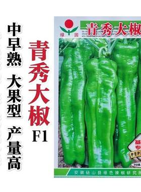 绿蔬青秀大椒种子大果型牛角椒种子大号辣椒种籽高产青椒种子正品