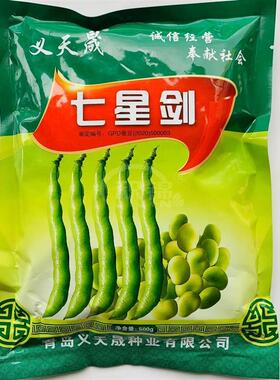 义天晟七星剑蚕豆种子高产抗病大荚皮黄色蚕豆种籽农家春秋蔬菜种