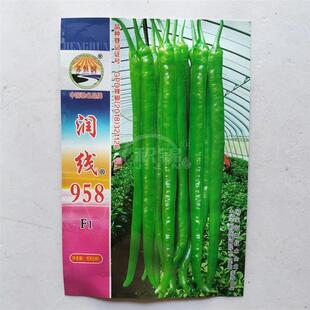 苏椒958辣椒种子蔬菜早熟大果粗牛角椒种籽抗病微辣春秋播种高产
