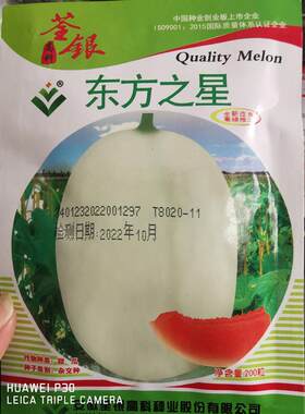 哈密瓜种籽香瓜种子东方之星超甜白皮红瓤高产南北方春秋瓜果种籽