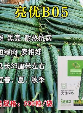 亿联特亮优B05夏季耐高温强雌油绿黑亮黄瓜种子高产抗病青瓜种籽L
