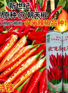 状元红朝天椒种子四季小米辣椒种籽超辣盆栽阳台春秋高产蔬菜种孑