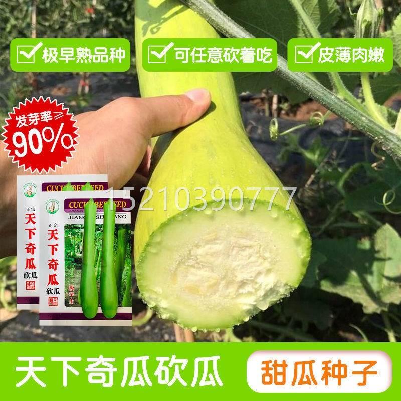 大神奇砍瓜种子种籽四季高产特家巨型爬藤瓜菜果SVE种籽速生农蔬