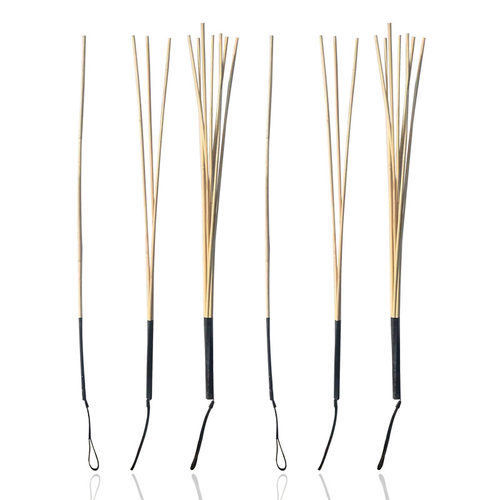 教学家弹力读棒子教学棒