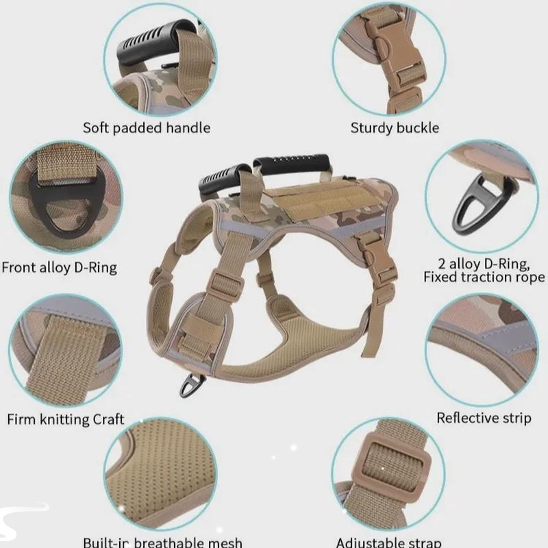 PetDogLeashMediumrVT