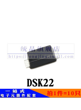 DSK22 SOD123（10只）全新原装
