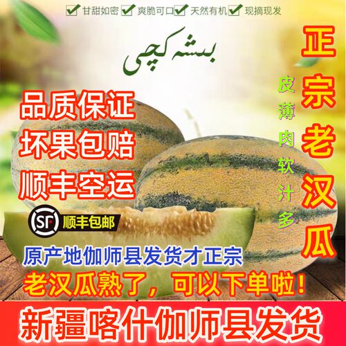 新疆特产老汉瓜柏谢克辛4-12斤伽师瓜新鲜水果孕妇健康果哈密瓜