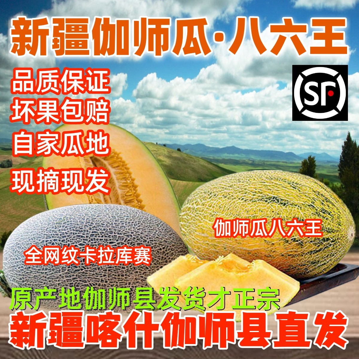 新疆特产正宗伽师瓜八六王哈密瓜新鲜当季水果全网纹黄皮甜瓜现摘