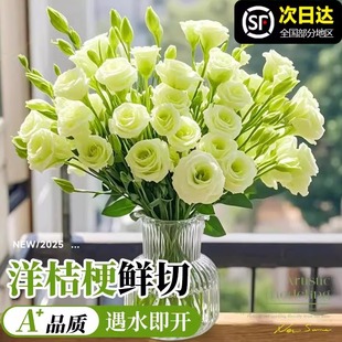 洋桔梗切花捧鲜插花直发鲜花插花办公室花水养鲜切花花瓶客厅云南