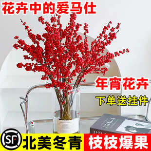 进口北美冬青鲜花切枝发财红果真花好养新年客厅水培水养喜庆花卉