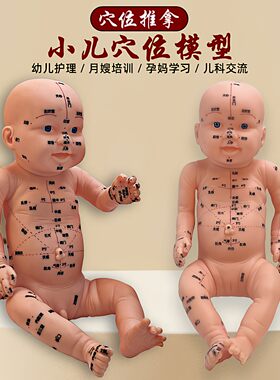 政河小儿穴位模型中医针灸穴位仿真医学教学人体经络按摩推拿模型
