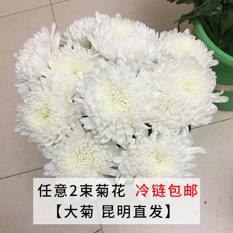 清明节中元节黄白菊鲜花云南直发扫墓上坟祭奠哀悼探望礼佛速递