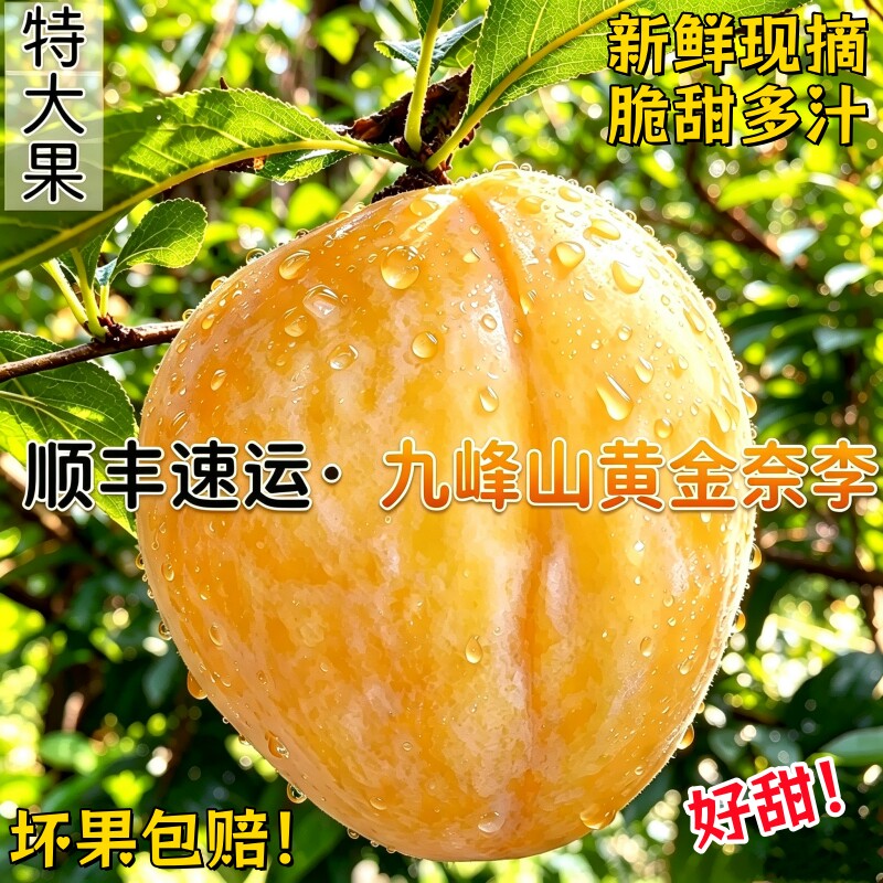 乐昌九峰山黄金奈李孕妇网红水果新鲜蜂糖李脆甜多汁恐龙蛋包邮
