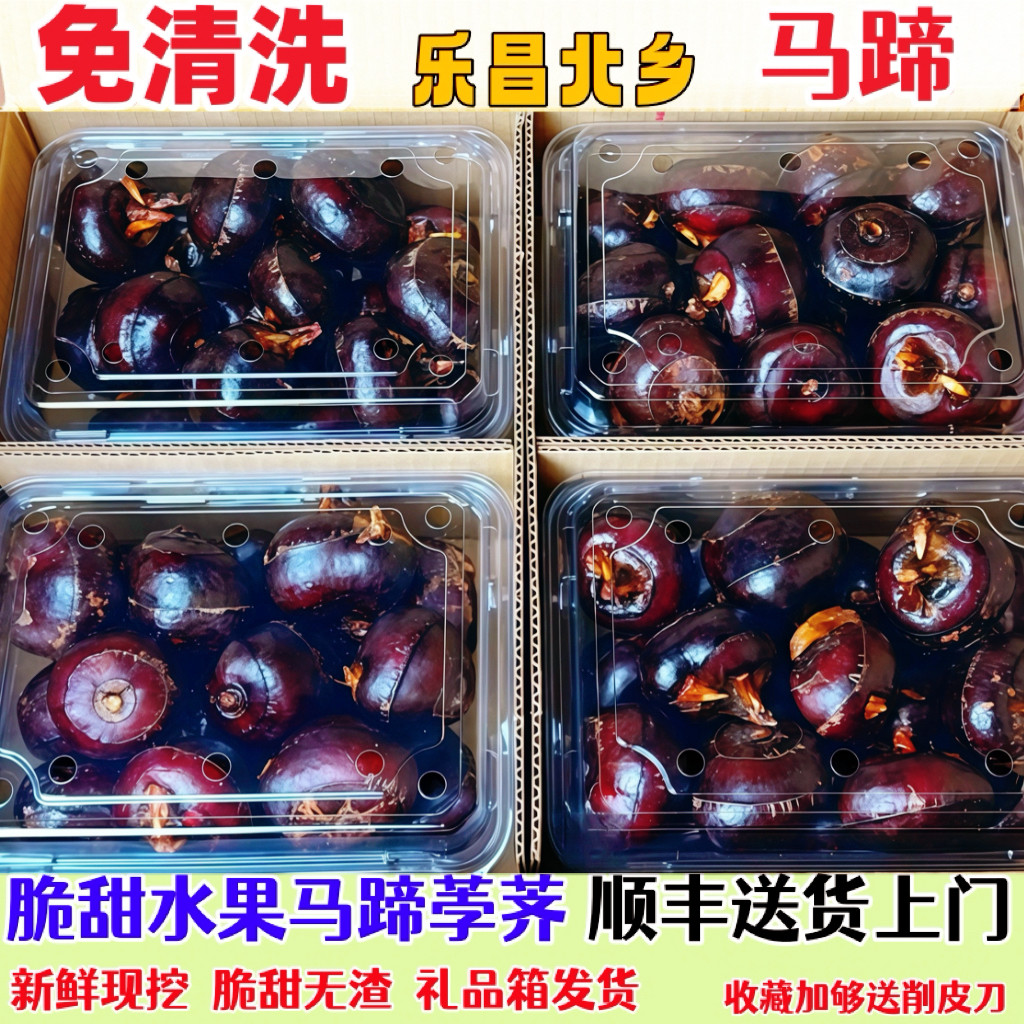 粤北乐昌北乡新鲜现挖免洗脆甜荸荠马蹄水果无渣特级即食马蹄包邮