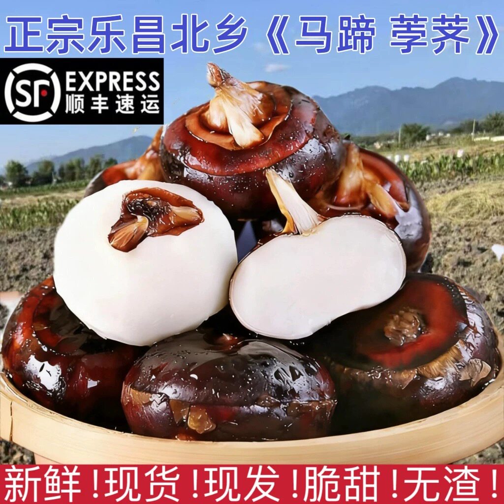 正宗乐昌北乡荸荠果新鲜现挖网红水果马蹄王孕妇水果马蹄脆甜无渣