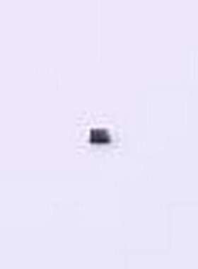 BAS5202VH6433XTMA1 肖特基二极管 电压:45V 电流:750mA SC-79-2