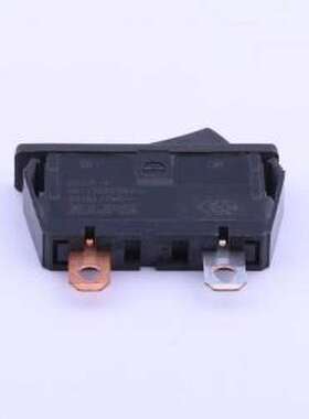 SDDJF1A100 船型开关 SDDJF1A100 插件