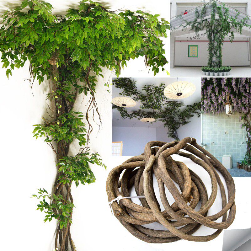 Vines True and false Flower vine Twine branch Landscaping Rattan decorate Botany suspended ceiling Kuteng Vine Green plant Leafin the Flower delivery/Flowers simulation/Plants gardening , Artificial flowers/Plants/Finished fruits and vegetables (New) , Simulation plants  category - from Buy2taobao.com to provide professional Taobao agent buy service