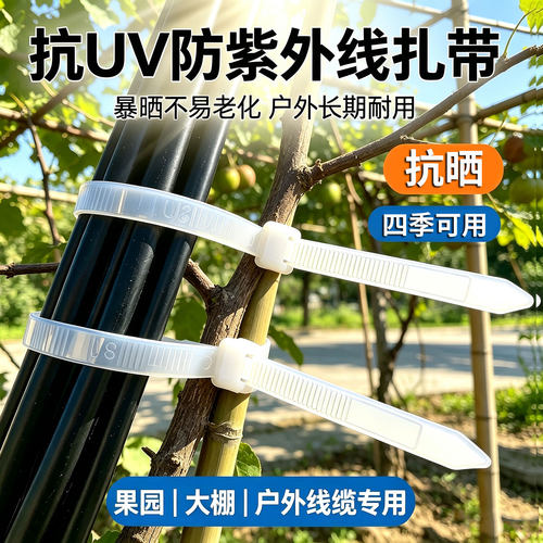 抗UV尼龙扎带防紫外线耐候扎带