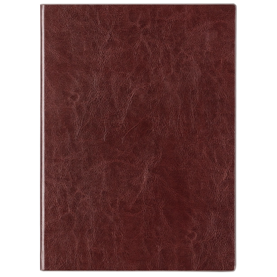 得力笔记本记事本a5软皮商务办公