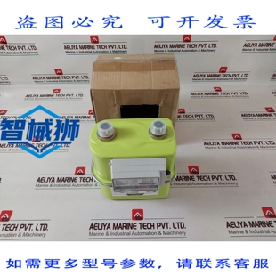 原装供应 ELSTER HYWELL BK-G1.6 隔膜式表 QK-2019-03-04689