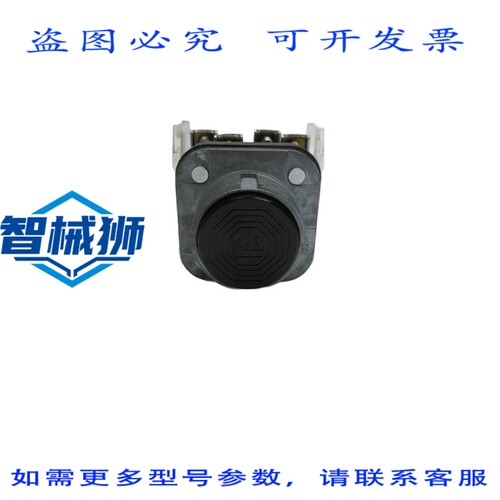 原装供应 罗克韦尔AB 800T-A2AB SER.T NSNP