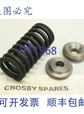 供应Crosby Spares 944971 0250821 控制器弹簧 X0807