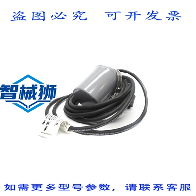 原装供应 SJE 泵MASTERS 1023508 120V NSNP