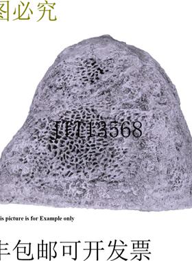 供应Rockustics Rocky Jr-S 65 英寸便携式室外扬声器69Hz