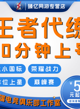 王者荣耀代练代打排位巅峰赛上分玩刷英雄战力送金标省标小国标