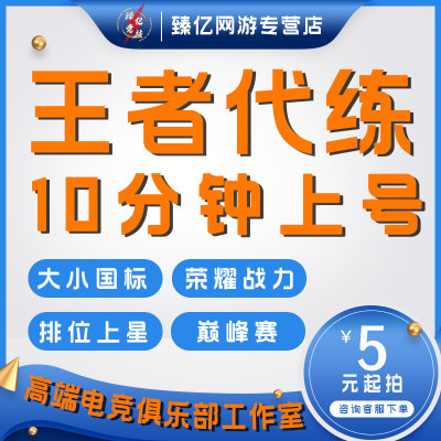 王者荣耀代练代打排位巅峰赛上分玩刷英雄战力送金标省标小国标