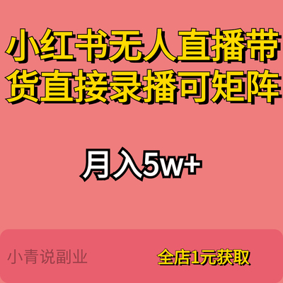 小红书无人直播带货风口项目直接录播可矩阵工作室小白副业教程