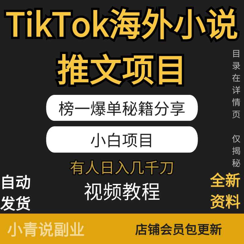 TikTok海外小说推文项目榜一爆单秘笈分享新玩法在家挣钱项目副业