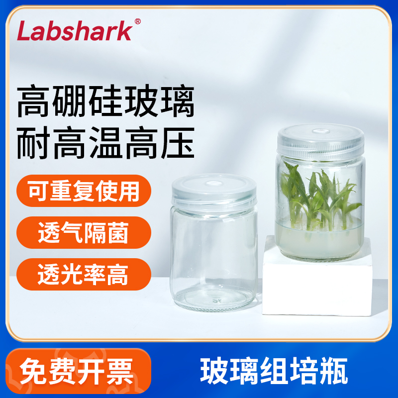Labshark玻璃组培瓶植物组织培养