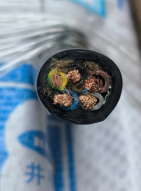 长江电缆YFR2 3 4 5芯1.5 2.5 4 6 10 16 25平方丁晴合成铜芯电缆