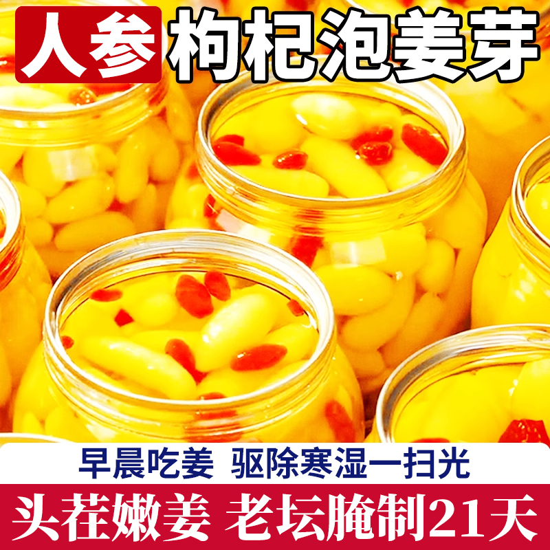 人参枸杞泡姜芽山东淄博特产嫩姜正宗新鲜下饭菜三伏天祛除湿寒气