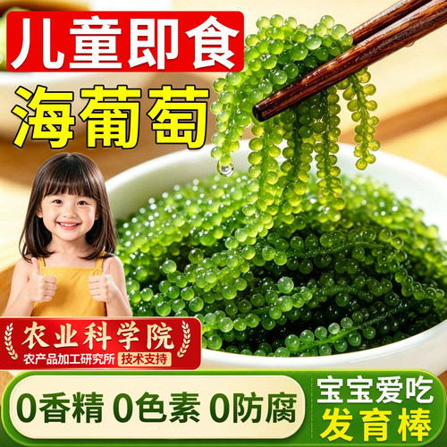 【儿童即食海葡萄】新鲜营养