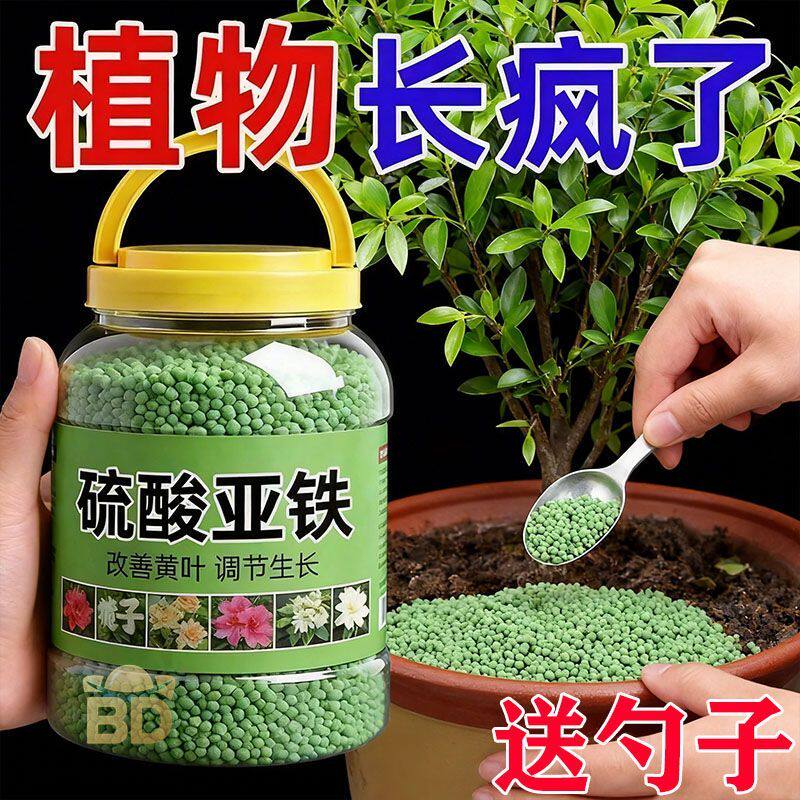 硫酸亚铁花肥料通用型酸性土壤植物营养液流盆栽防黄叶专用水溶肥