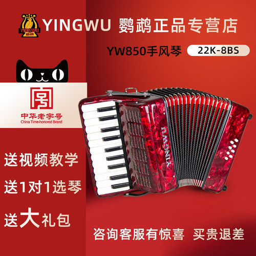 鹦鹉手风琴YW850键盘手风琴22键8贝斯儿童初学练习乐器
