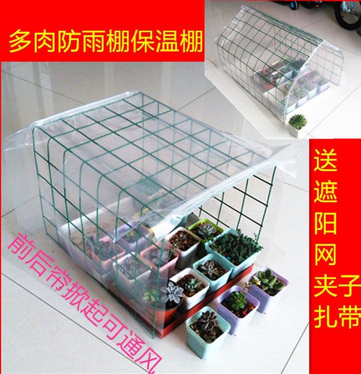 网友分享在meiguo.com的图片