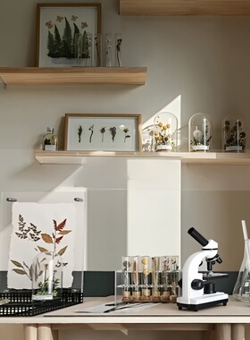 简约现代样板间书房饰品摆件玻璃罩植物干花标本手工主题组合套装