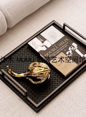 金色蝌蚪编制托盘英文书籍