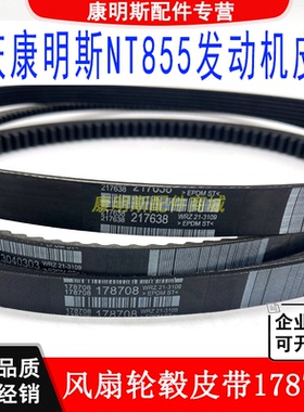 适用重庆康明斯NT855船用发电机组发动机水泵风扇轮毂皮带178708